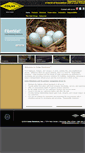 Mobile Screenshot of colassolutions.com